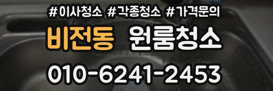 비전동 이사청소