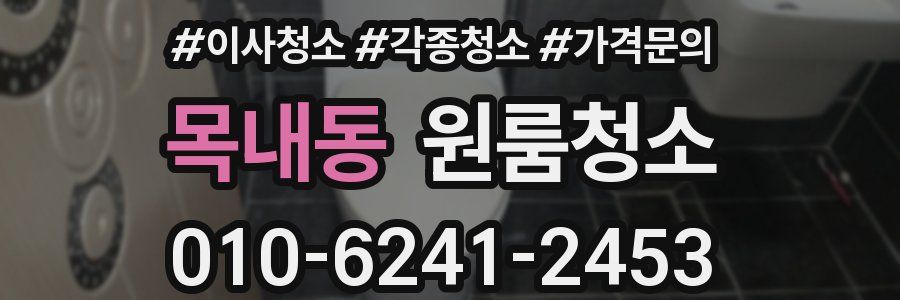 목내동 이사청소