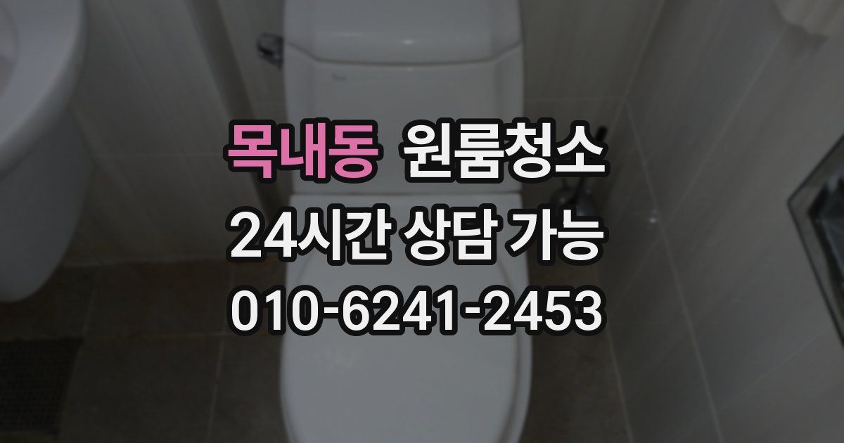 목내동 입주청소