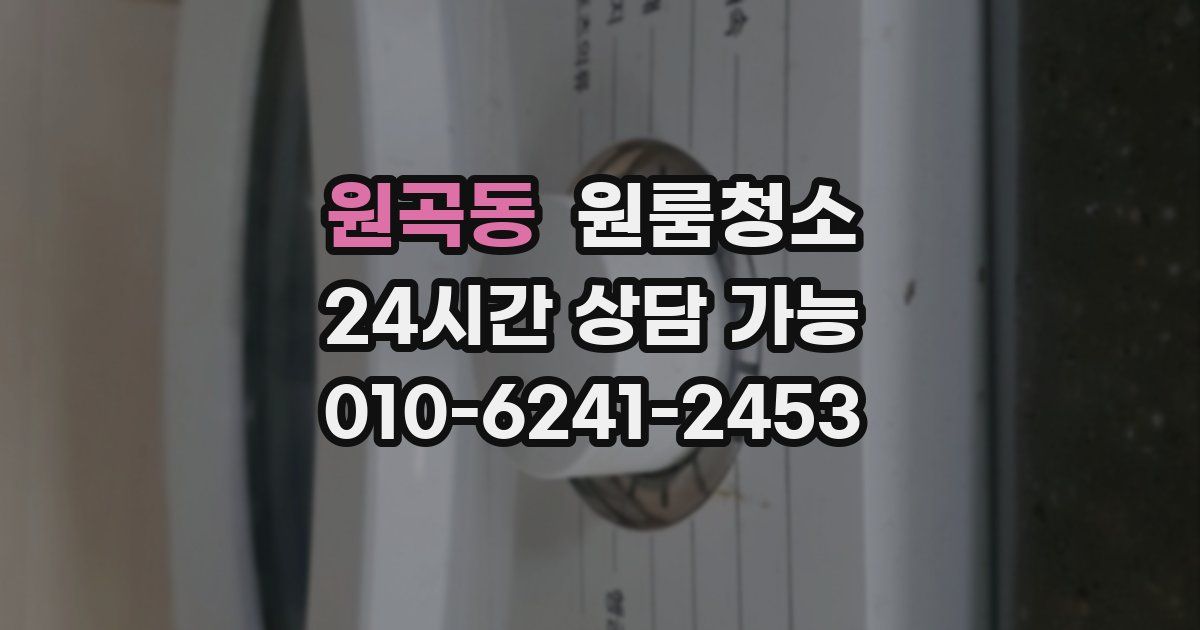 원곡동 입주청소