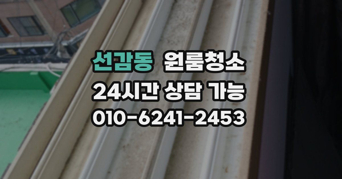 선감동 입주청소