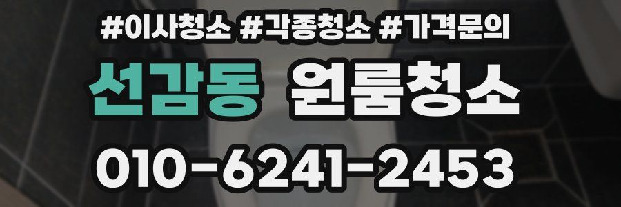 선감동 이사청소