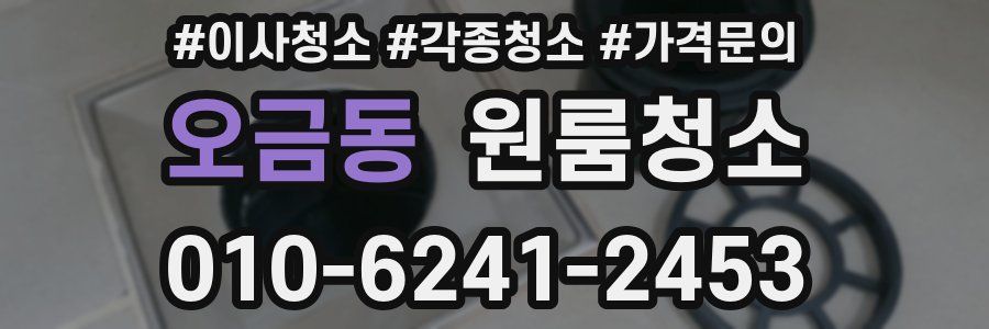 오금동 이사청소