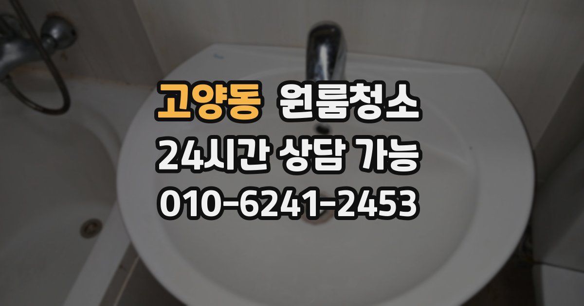 고양동 입주청소