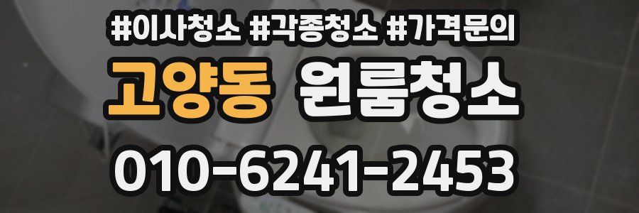 고양동 이사청소