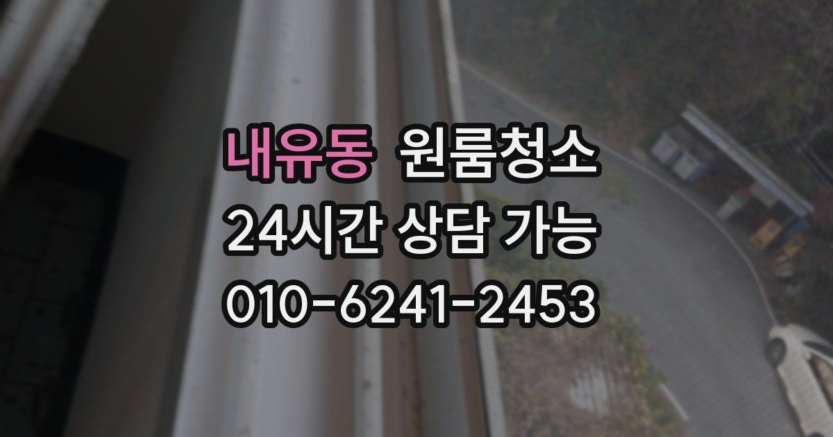 내유동 입주청소