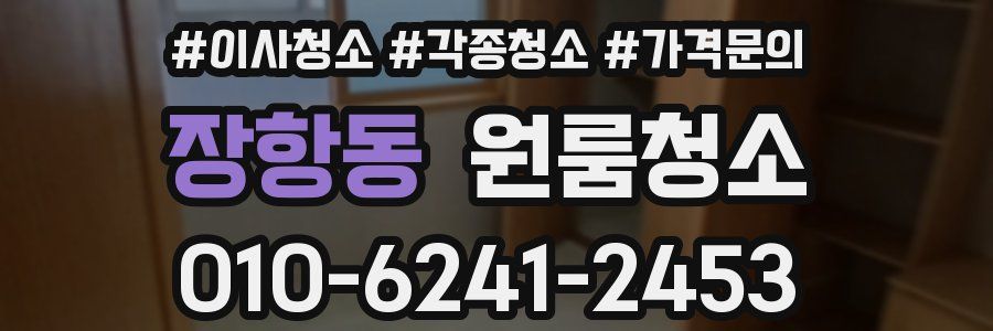 장항동 이사청소