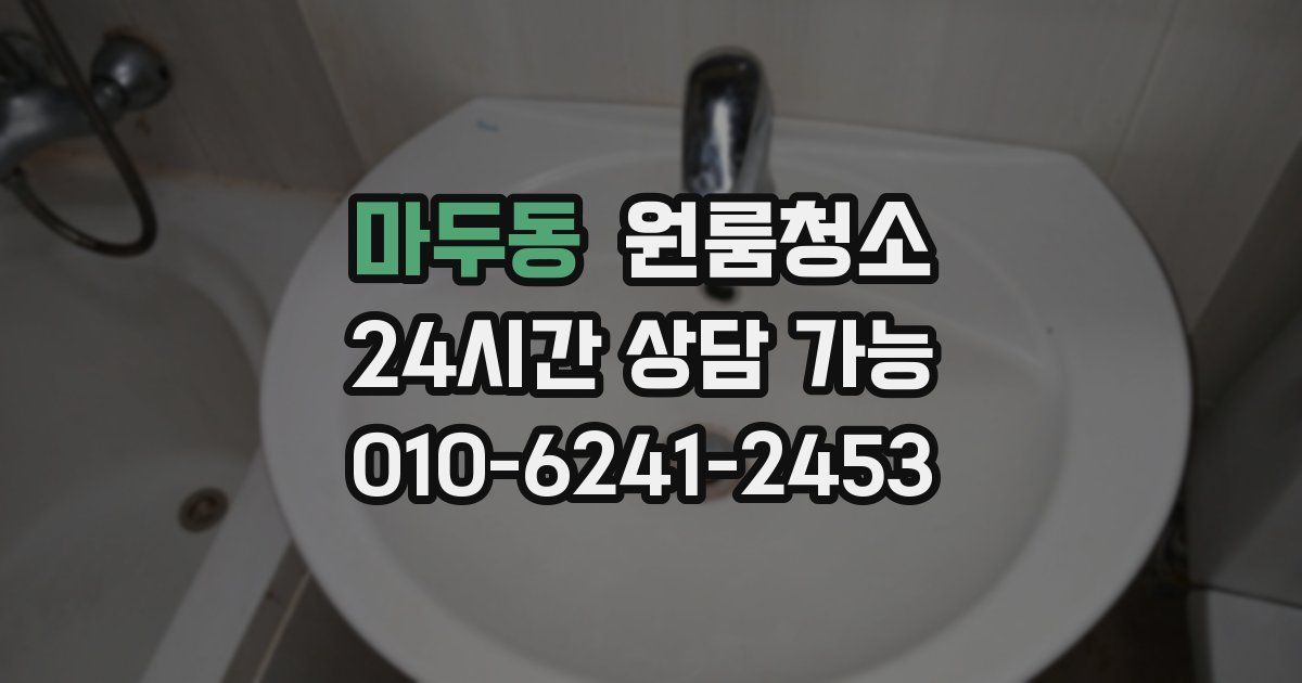 마두동 입주청소