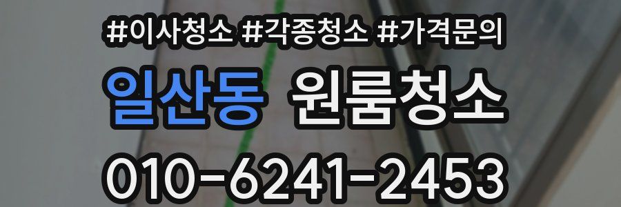 일산동 이사청소