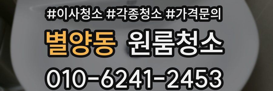 별양동 이사청소