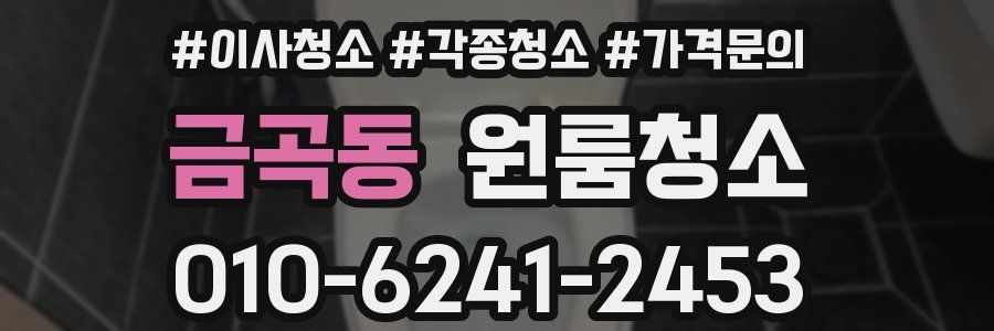 금곡동 이사청소