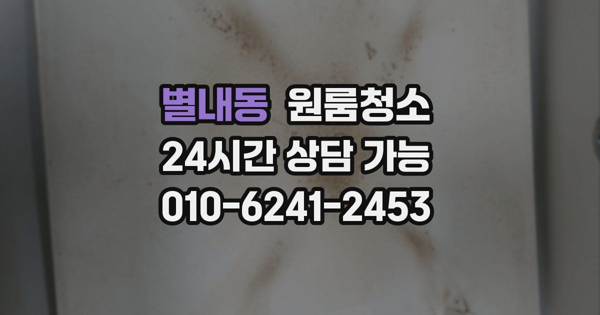 별내동 입주청소