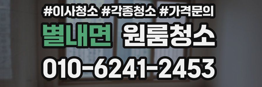 별내면 이사청소