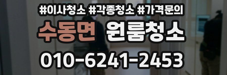 수동면 이사청소