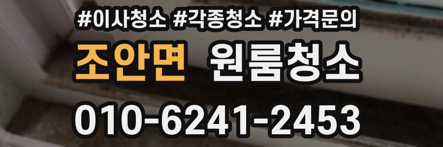 조안면 이사청소
