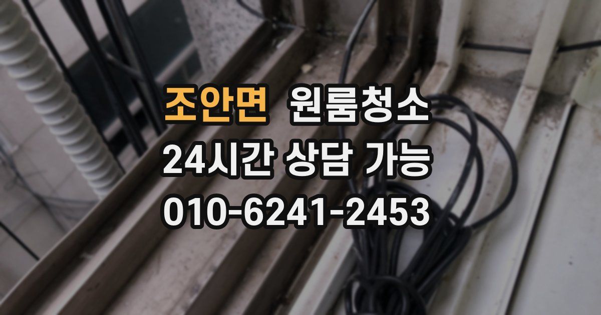 조안면 입주청소