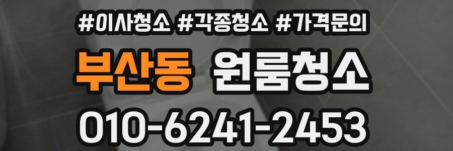 부산동 이사청소