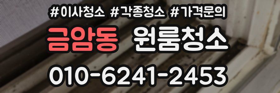 금암동 이사청소