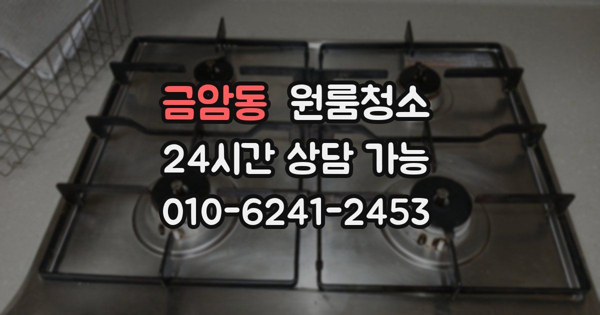 금암동 입주청소