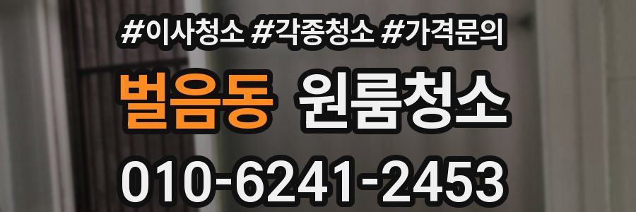 벌음동 이사청소