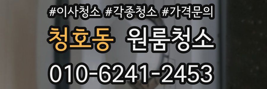 청호동 이사청소