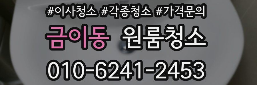 금이동 이사청소