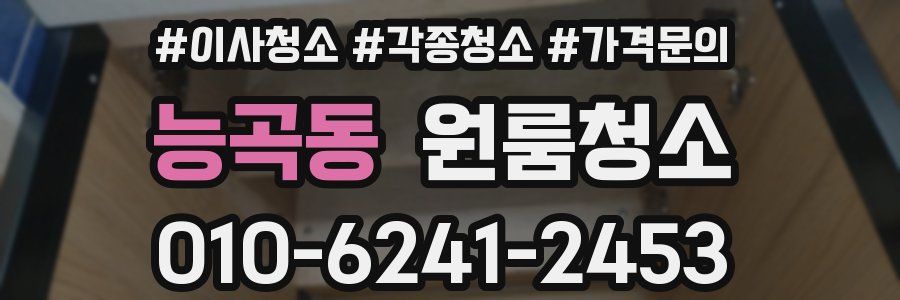 능곡동 이사청소