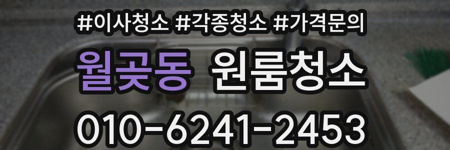 월곶동 이사청소