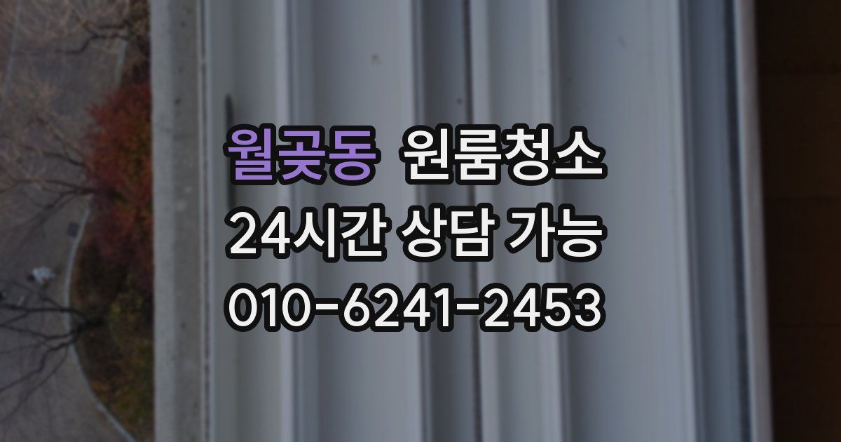 월곶동 입주청소