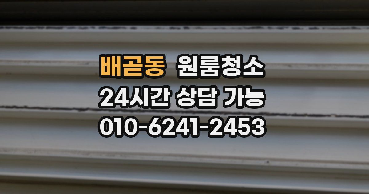 배곧동 입주청소