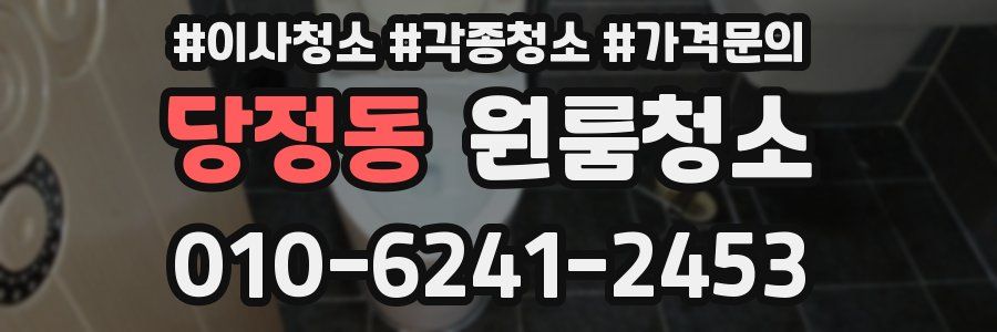 당정동 이사청소