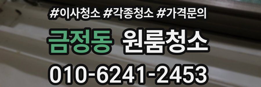 금정동 이사청소