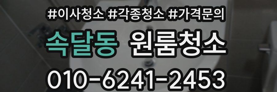 속달동 이사청소