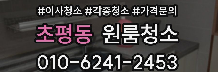 초평동 이사청소