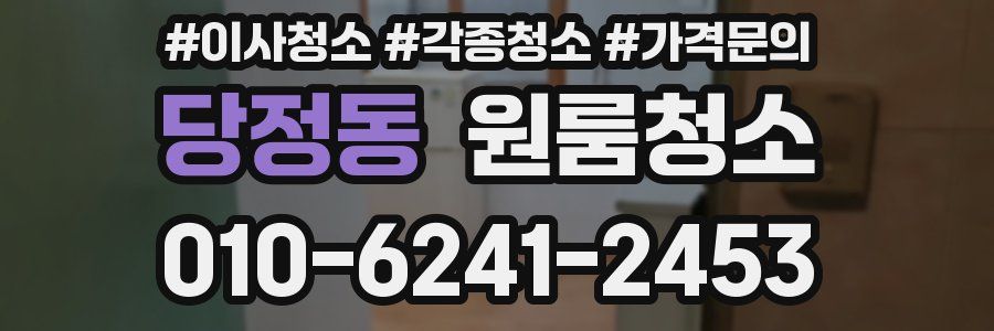 당정동 이사청소