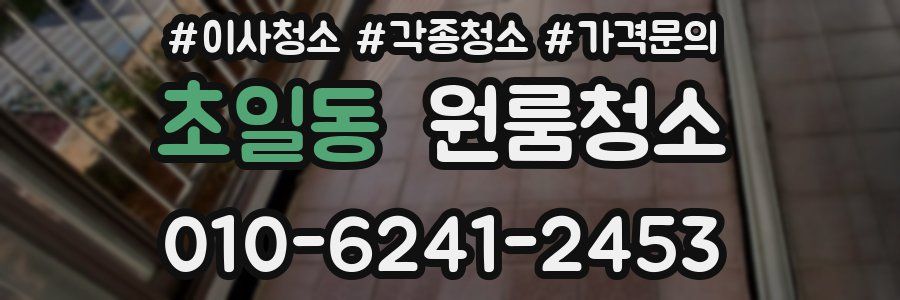 초일동 이사청소