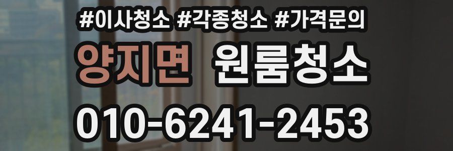 양지면 이사청소