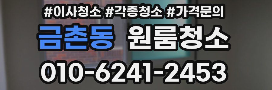 금촌동 이사청소