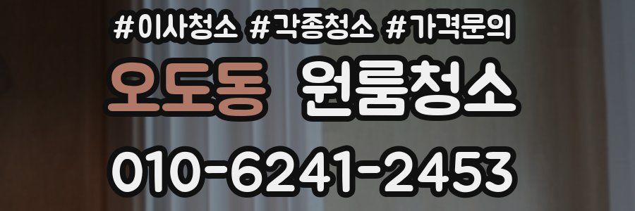 오도동 이사청소