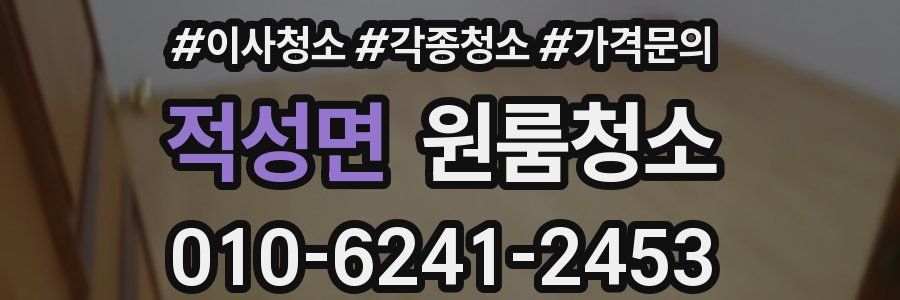 적성면 이사청소