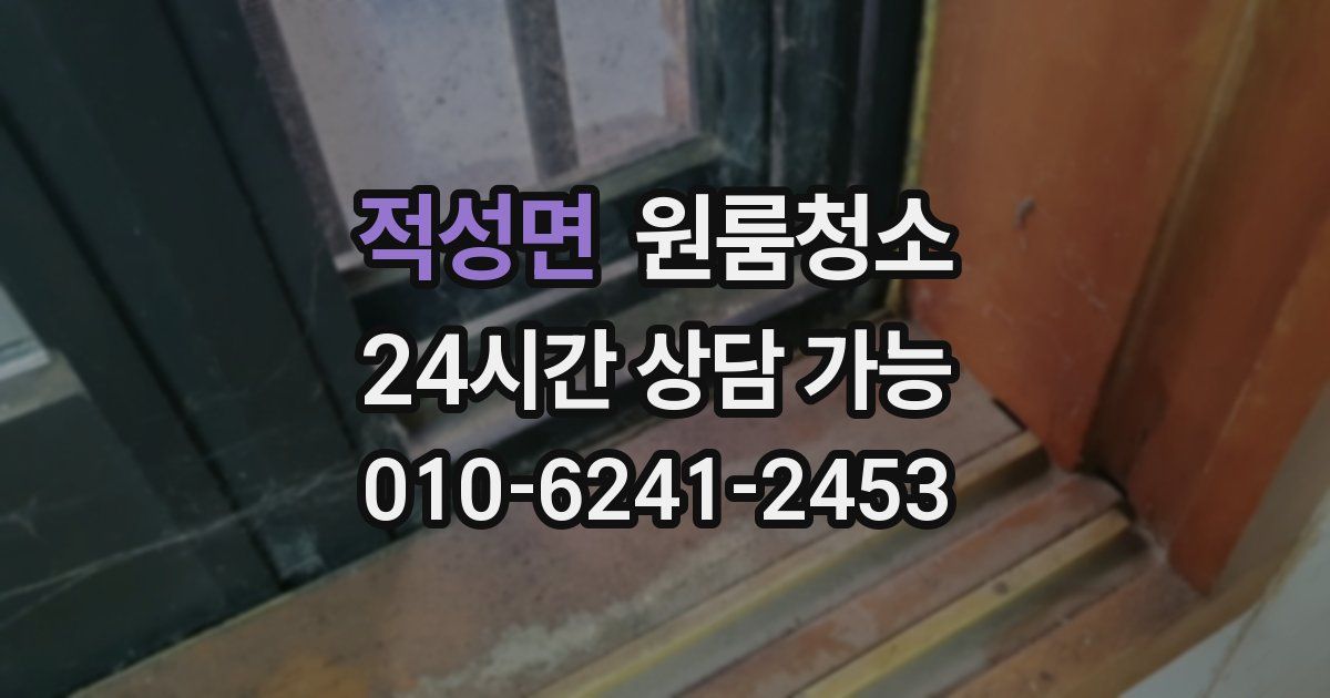 적성면 입주청소