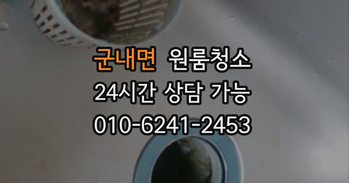 군내면 입주청소