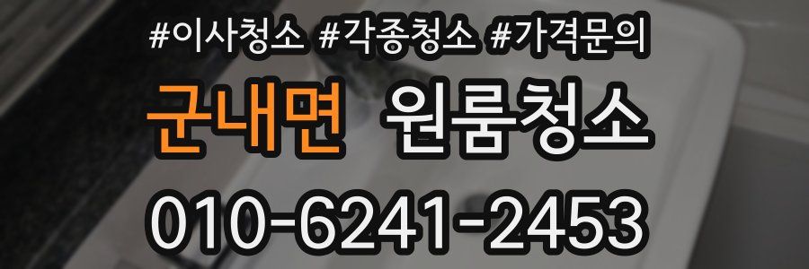 군내면 이사청소