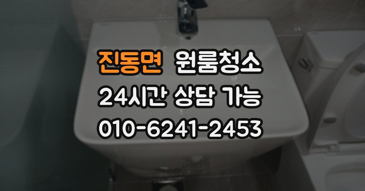진동면 입주청소