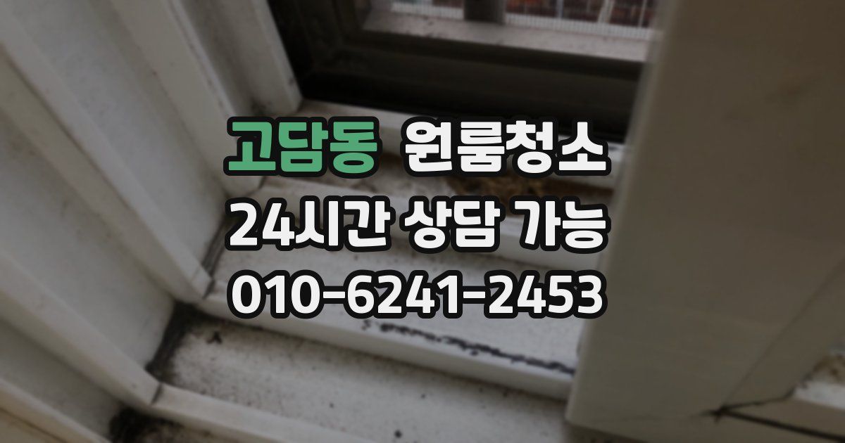 고담동 입주청소
