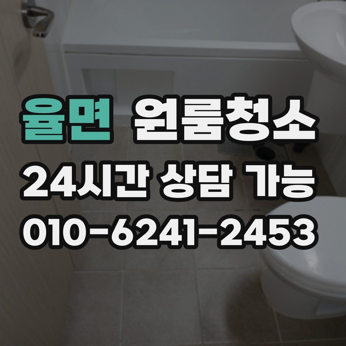 율면 원룸청소 반려동물과 함께 사는 원룸 정리 포인트