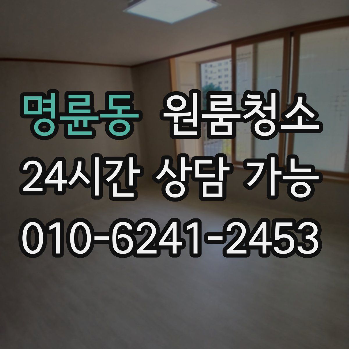 명륜동 원룸청소