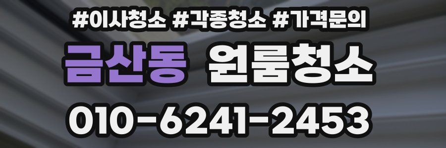 금산동 이사청소