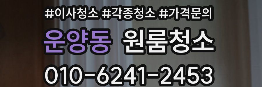 운양동 이사청소