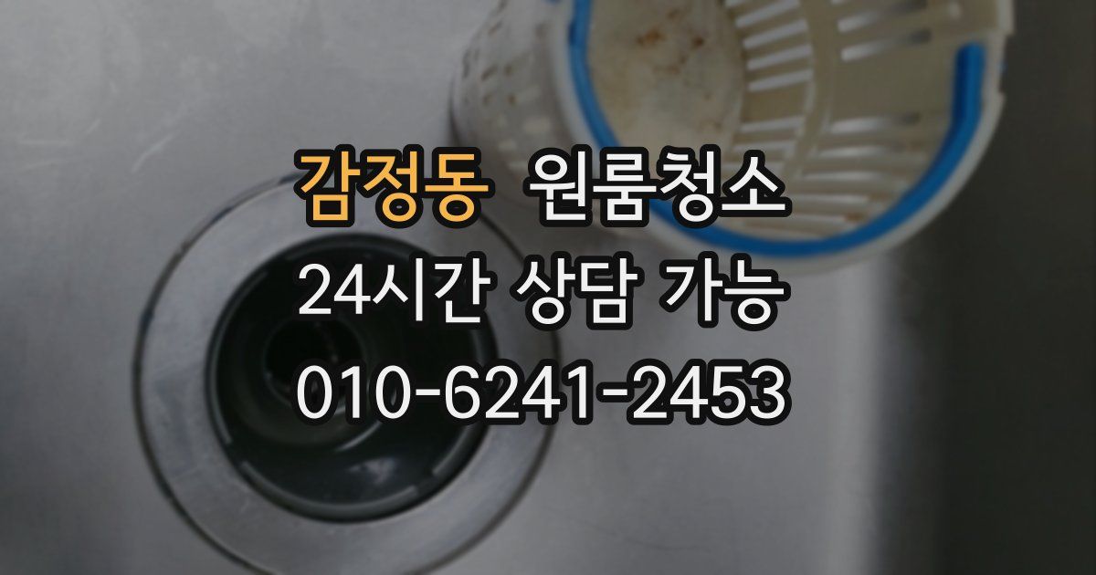 감정동 입주청소